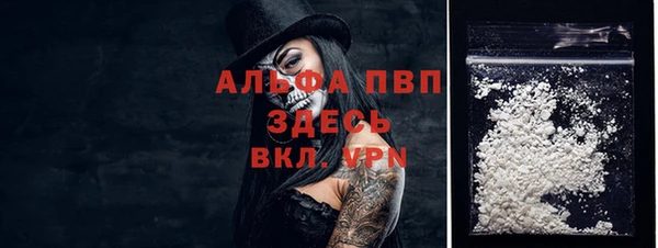 сатива Карталы