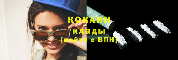 прущие грибы Козловка