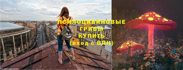 ECSTASY Кодинск