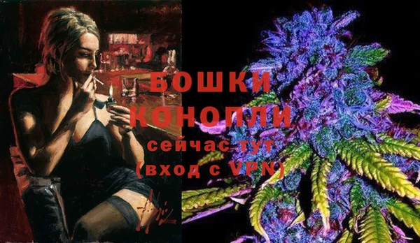 шишки Киреевск