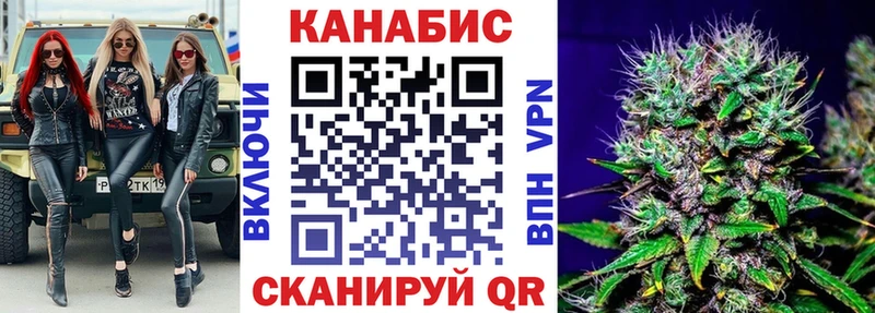 Купить закладки  Дорогобуж  Конопля сатива 